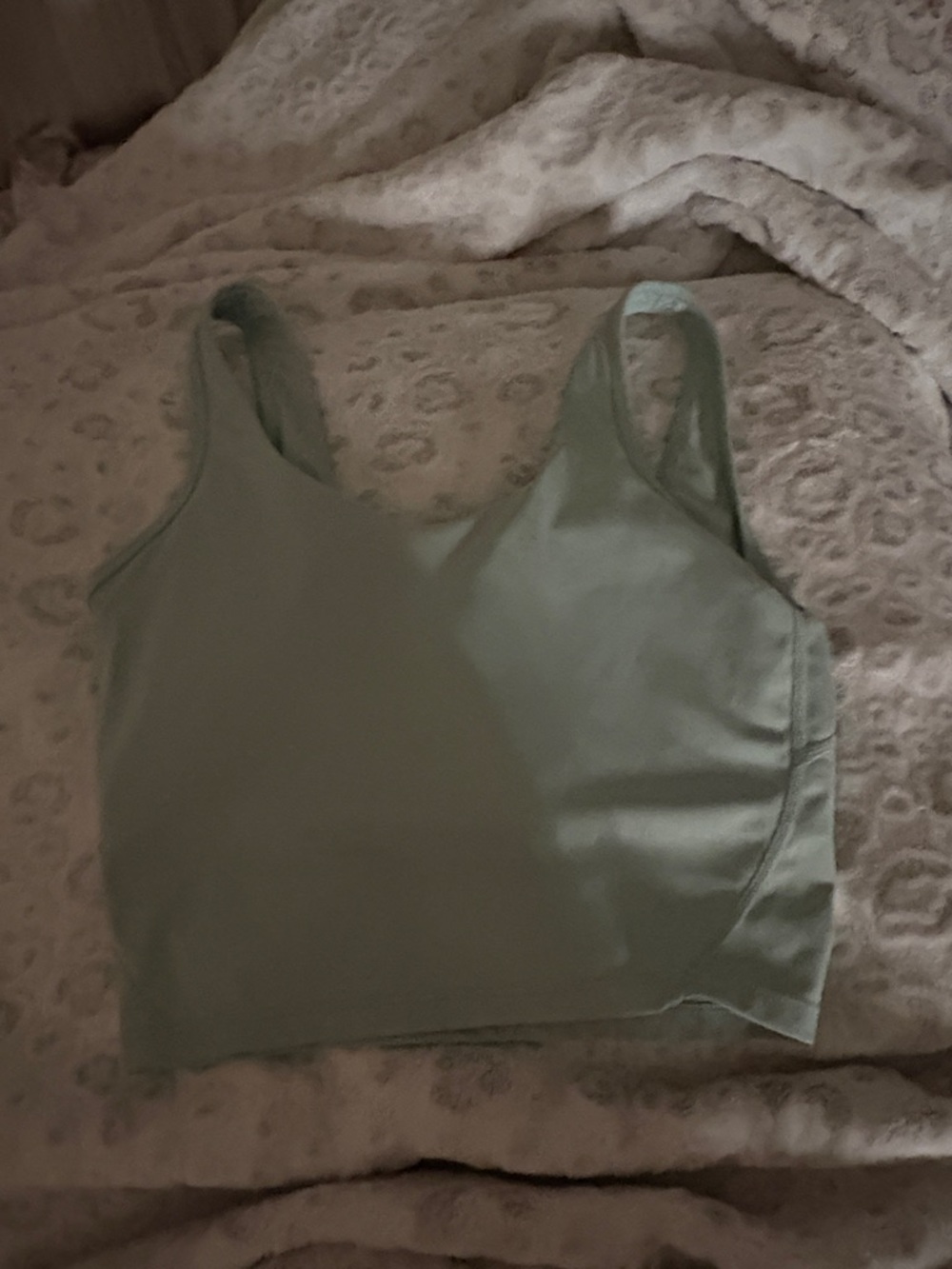 Light Sage Green Crop Tank Top